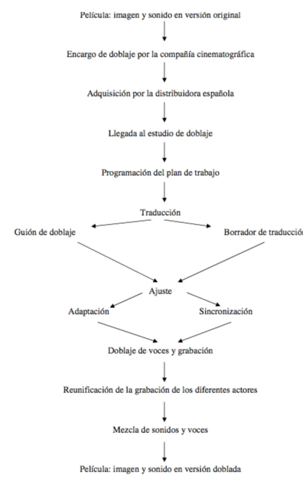 Figura 3: Fases del doblaje 