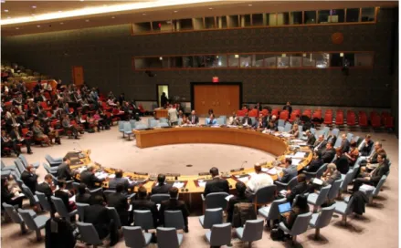 Figura 6. Sesión abierta del Consejo de Seguridad de la ONU. (Fuente: Ministerio de Seguridad Argentina