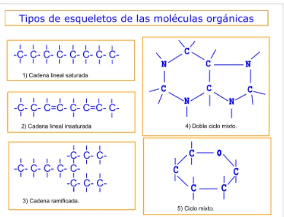 Fig. 6 Ejemplos  de  esqueletos  carbonados  de