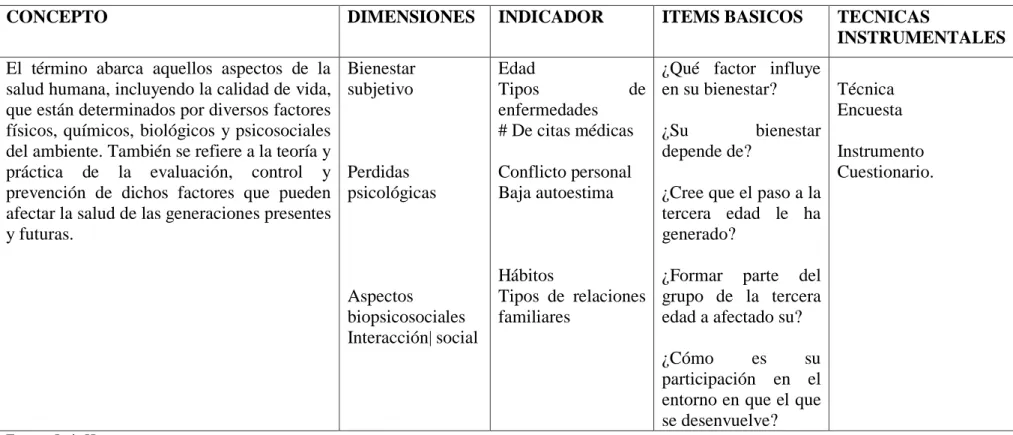 Cuadro N°  3. Variable Independiente.- Factores socio ambientales.  
