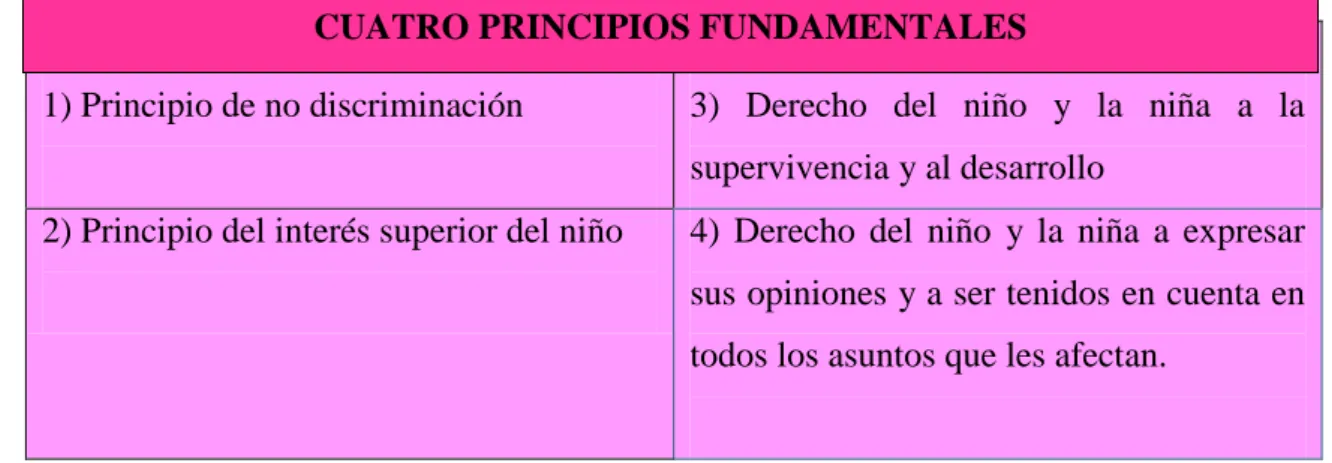 Tabla 2: Principios de la CDN 