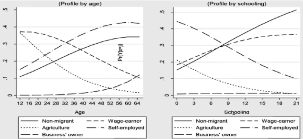Figure 1. Likelihood of remittances’ earner and labor position in Mexico, 2005.