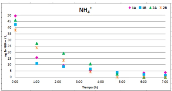 Tabla 12: Porcentaje de Nitrógeno eliminado en cada experimento. 