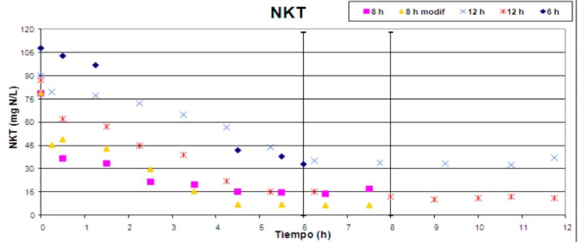 Figura 2: Evolución de la concentración de Nitrógeno Kjeldhal Total en el tiempo.    Representa un ciclo de 8 horas,   un  ciclo de 8 horas con distinta distribución de tiempos,   y  son ciclos de 12 horas y  ciclo de 6 horas