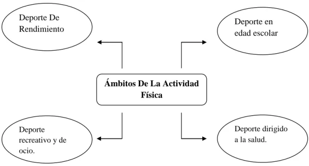Gráfico Nº 5 