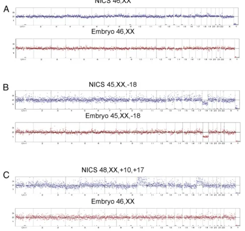 Fig. 2. Examples of validation of results from the comparison of NICS versus the whole-blastocyst embryos