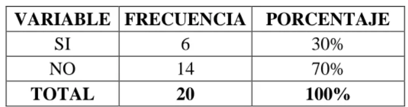 Gráfico No. 13