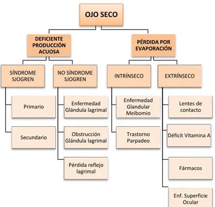 Figura 2. Clasificación de Ojo Seco. 