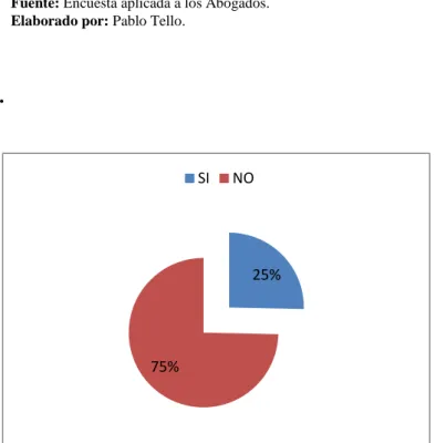 Gráfico N° 13. 
