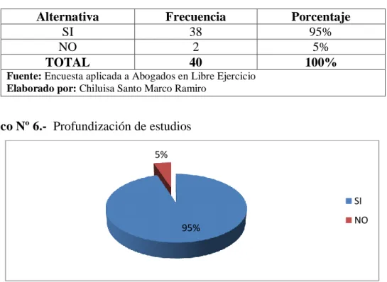 Cuadro Nº 6.-  Profundización de estudios 