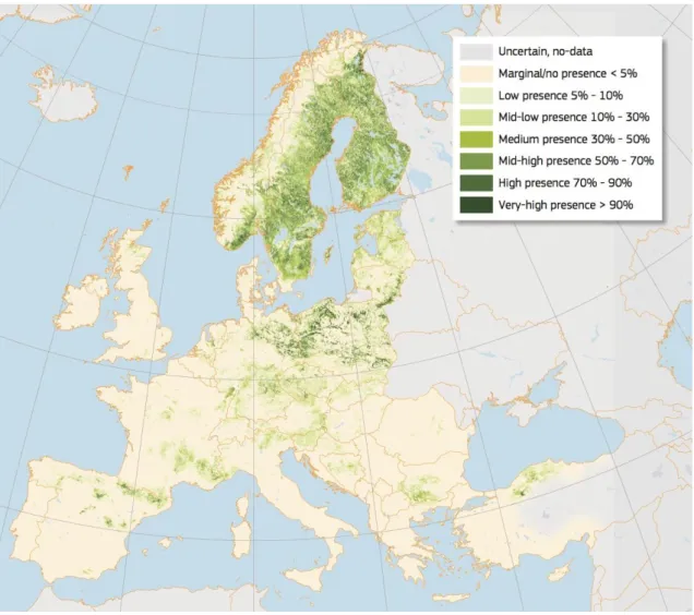 Figure 2. High resolution distribution map for Pinus sylvestris estimating the relative probability of presence