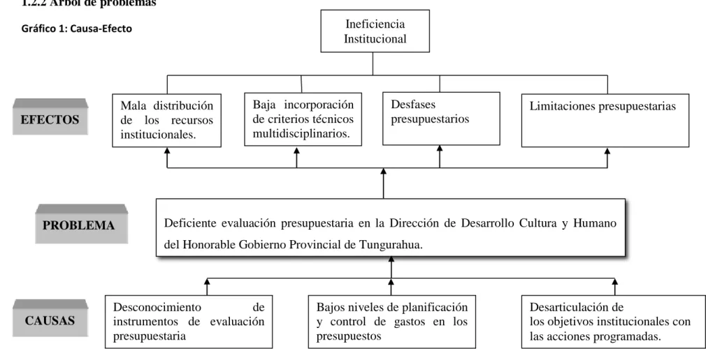Gráfico 1: Causa-Efecto 