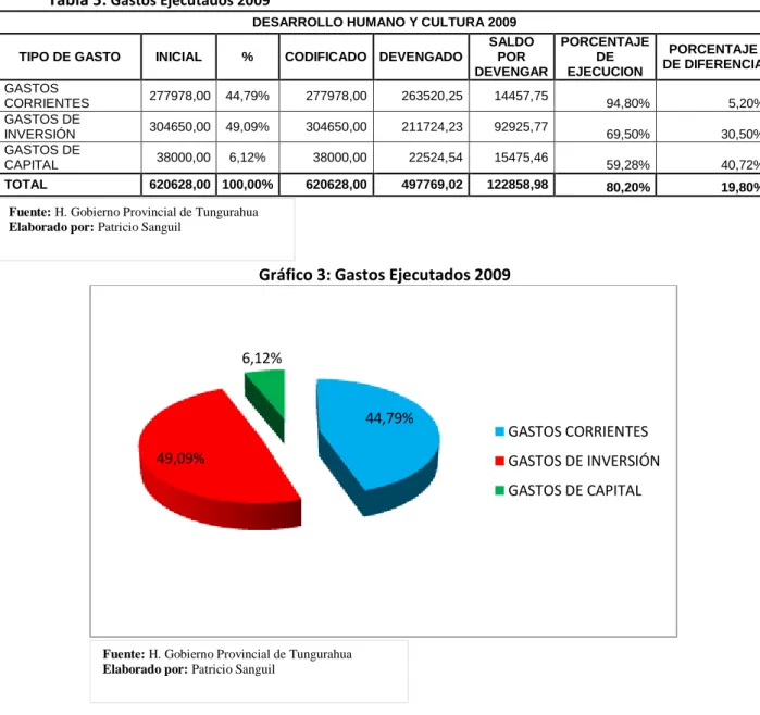 Gráfico 3: Gastos Ejecutados 2009 