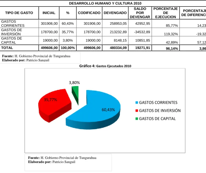 Gráfico 4:  Gastos Ejecutados 2010