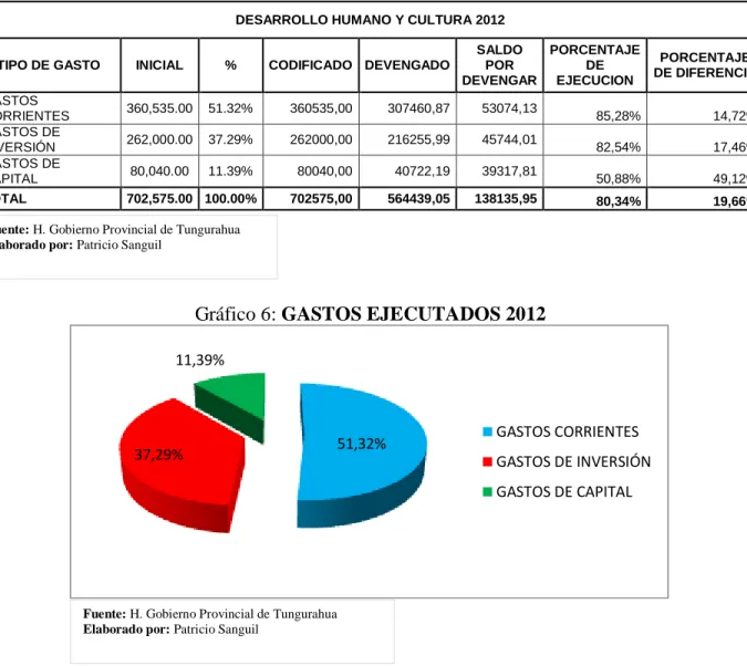Gráfico 6: GASTOS EJECUTADOS 2012 