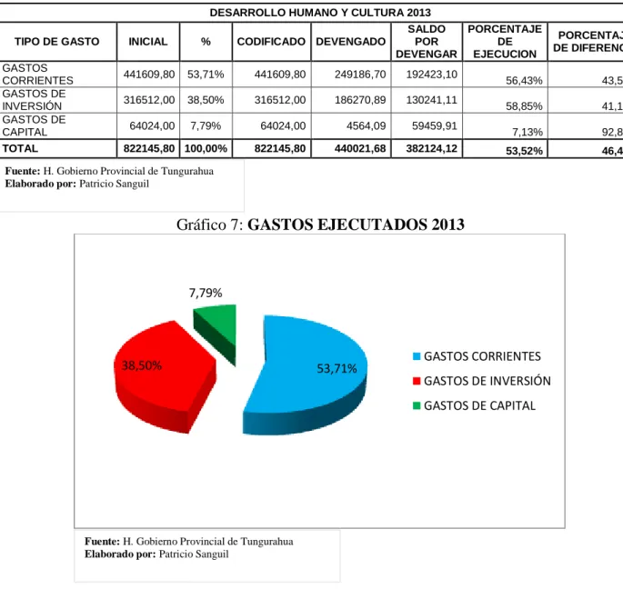 Gráfico 7: GASTOS EJECUTADOS 2013 