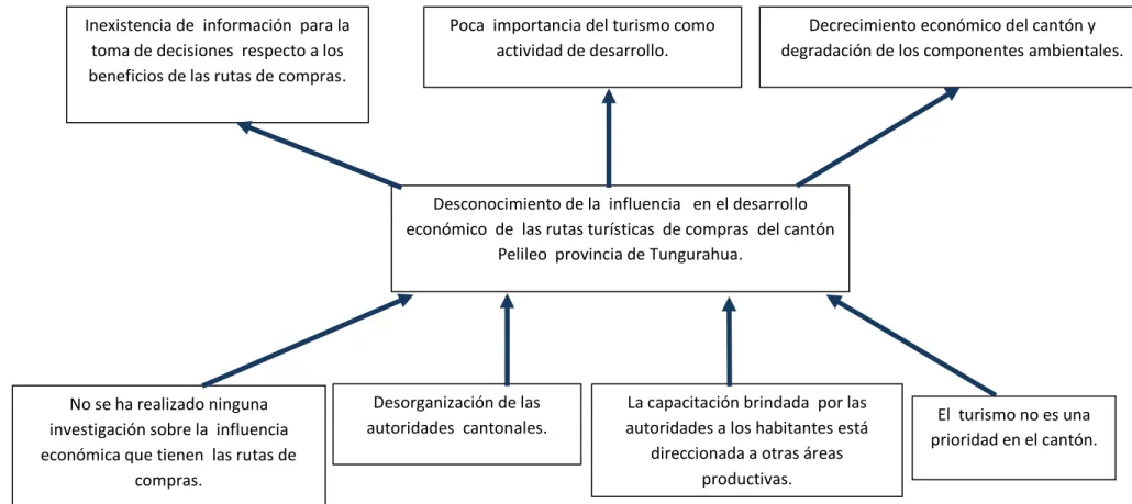 Gráfico Nº 1 Árbol de problemas  