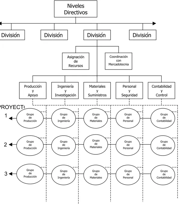 Estructuras Organizativas Y Tipos De Organigramas 0092