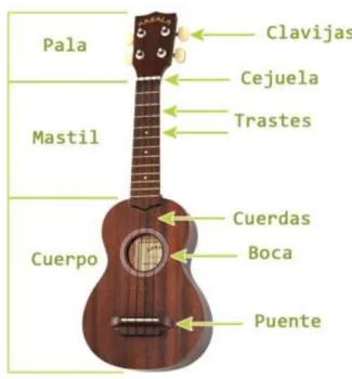 Figura 4. Partes principales de un ukelele. Extraído de https://ukelele678.wordpress.com/2016/11/07/primera- https://ukelele678.wordpress.com/2016/11/07/primera-entrada-de-blog/ 