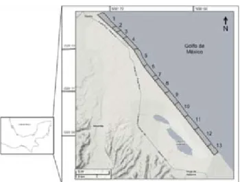 Figure  1.  Study  area  with  the  location  of  the  13  beaches 