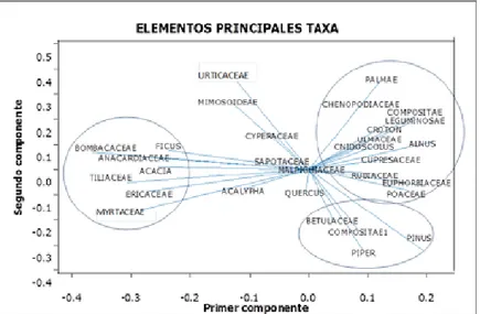 Figura 4. Análisis de elementos principales de los taxa polínicos encontrados en la lluvia de polen en Michoacán, México.