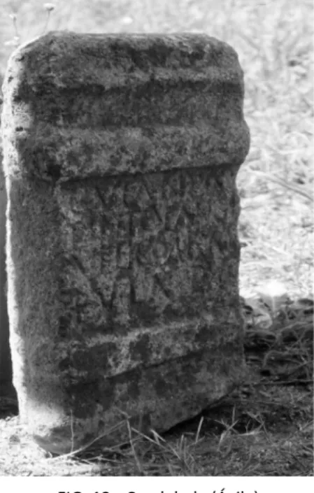 FIG. 13.- Candeleda (Ávila) 