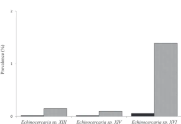 Figure  1.  Prevalence  of  larval  trematode  infections  in  B. 