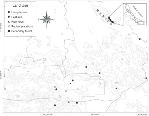 Figure 1. Location of the Malaise traps in the Uxpa- Uxpa-napa region, Mexico.