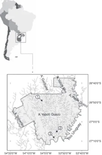 Figura 1. Área de estudio arroyo Yabotí: 1, cuenca alta; 2, cuenca media; 3, cuenca baja.
