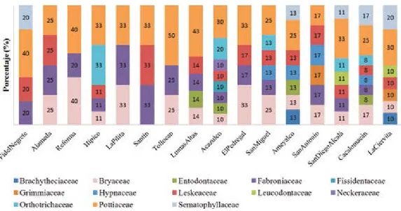 Figura  3.  Porcentaje  de  especies  de  los  musgos  epifitos  de  la 