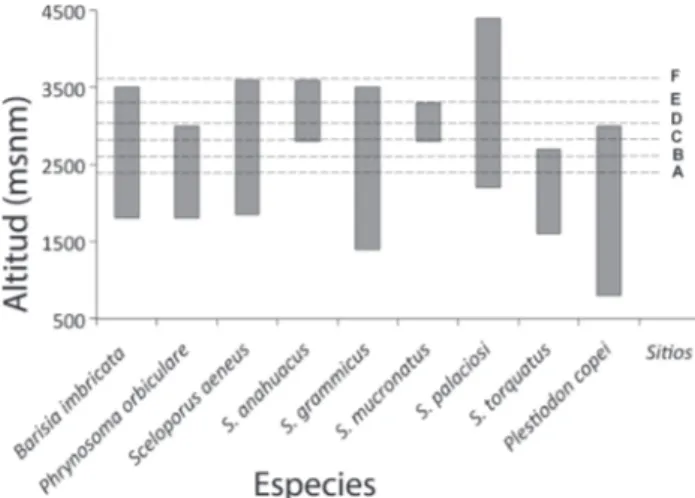 Figura 2. Distribución altitudinal de las especies de lagartijas en  la sierra del Ajusco y Pedregal de San Ángel, según  Ramírez-Bautista et al