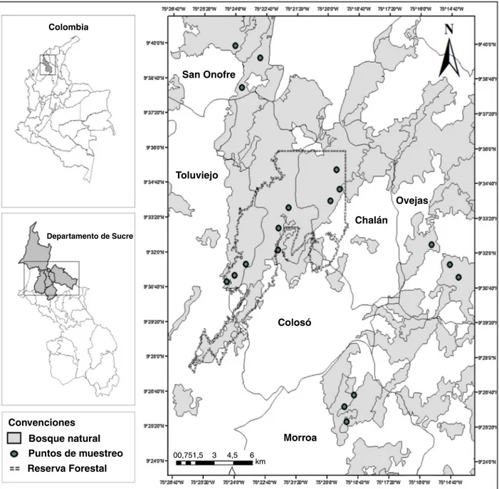 Figura 1. Ubicación geográfica del área de estudio; localidades de muestreo y posición de los sitios de recolecta en los Montes de María (Sucre-Colombia).