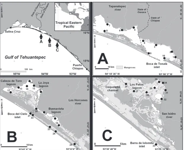 Figure  1.  Maps  of  the  Gulf  of  Tehuantepec  (upper  left),  Mar  Muerto  (A),  La  Joya-Buenavista  (B)  and  Los  Patos-Solo  Dios  (C)  lagoon-estuarine systems, with sampling sites of the fish fauna.