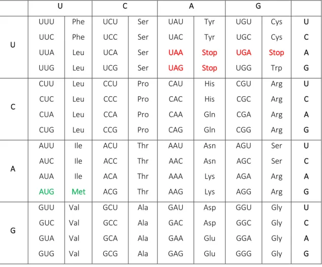 Tabla 1.- Código genético universal 