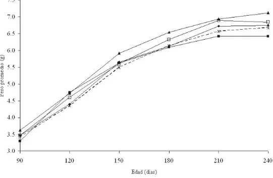 Figura 2. Curvas de crecimiento para el peso promedio de tepezcuintles (A. paca) según la dieta analizada