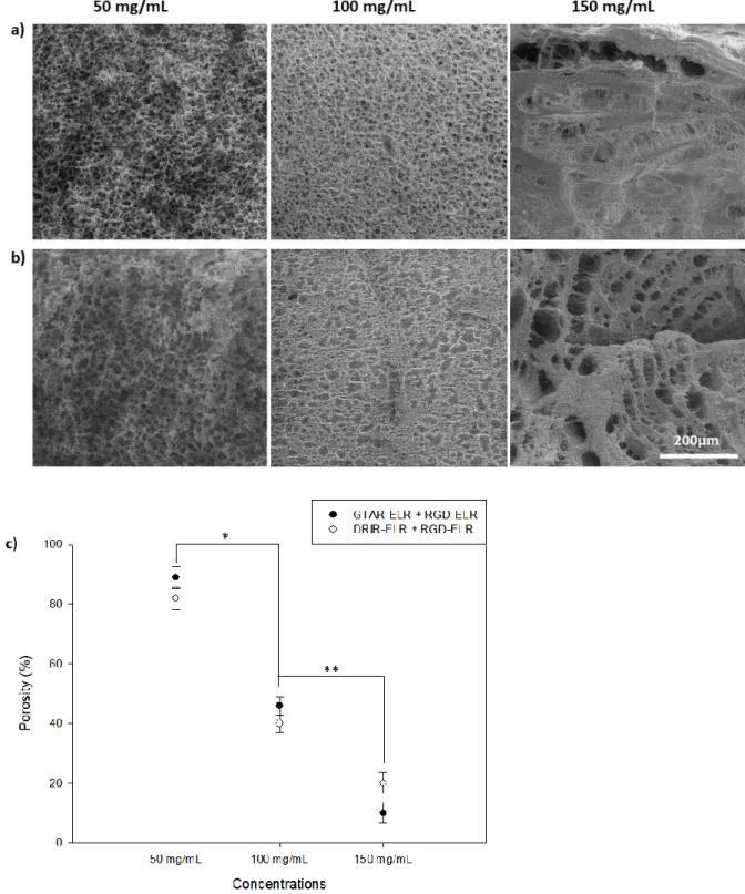 Figure  3.  SEM  micrographs  of  cryo-fractured  proteolytic  ELR-based  hydrogels:  a)  GTAR- GTAR-ELR  +  RGD-GTAR-ELR  based  hydrogels  at  50,  100  and  150  mg/mL  from  left  to  right;  b)   DRIR-ELR  +  RGD-DRIR-ELR  based  hydrogels  at  50,  1