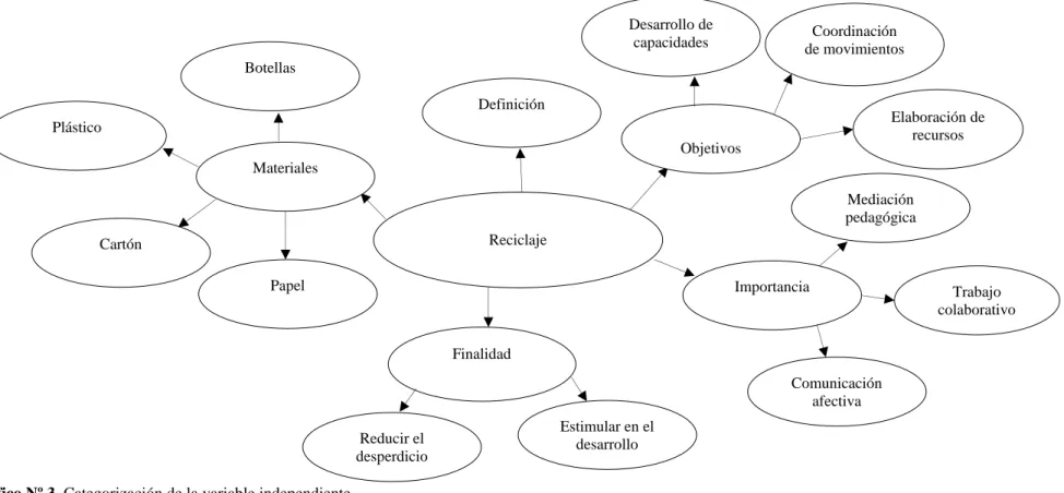 Gráfico Nº 3. Categorización de la variable independiente.  