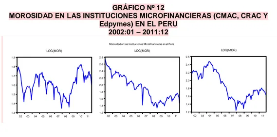 GRÁFICO Nº 12 