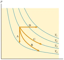 Figure 20.8 Identify the nature of paths A, B, C, and D.