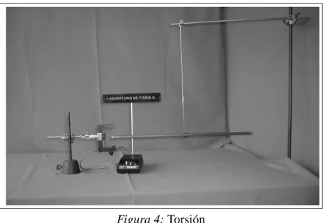 Figura 4: Torsión