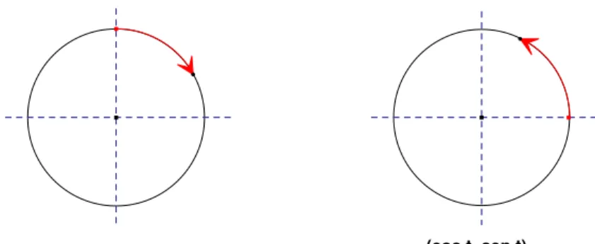 Figura 1.1: Dos curvas con una misma traza.