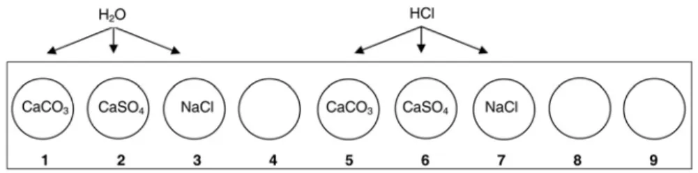 Figura 3:  Esquema de la bandeja de experimentación.