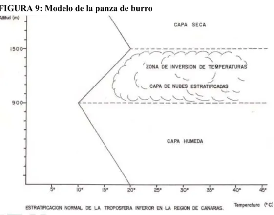 FIGURA 9: Modelo de la panza de burro