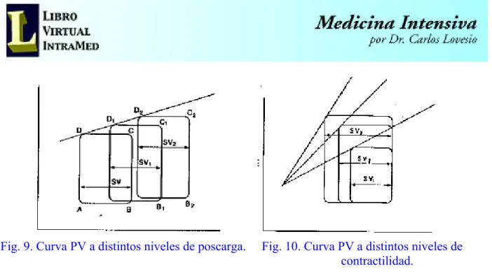 Fig. 9. Curva PV a distintos niveles de poscarga.     Fig. 10. Curva PV a distintos niveles de                                                                                                               contractilidad.