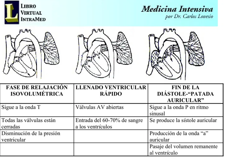 Fig. 4.- Ciclo cardíaco mecánico: diástole ventricular.