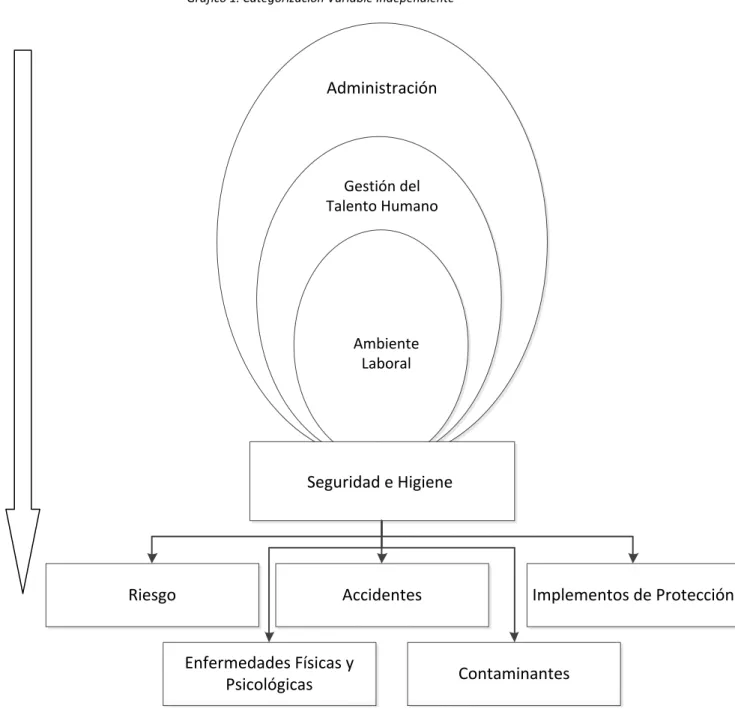 Gráfico 1. Categorización Variable Independiente