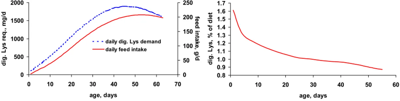 Figure 1:  Typical curves for the daily requirement of digestible lysine (left, dotted line) an for daily feed intake (left, solid line) of meat type broilers and the resulting curve for optimum digestible lysine content in the feed (right)