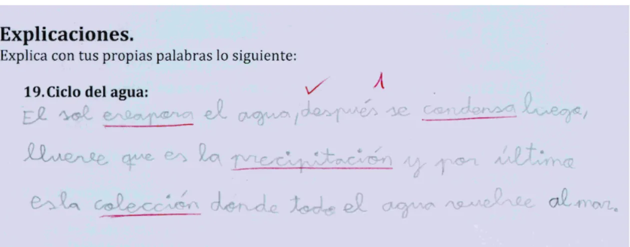 Figura 8 . Ejemplo de explicación correcta. 
