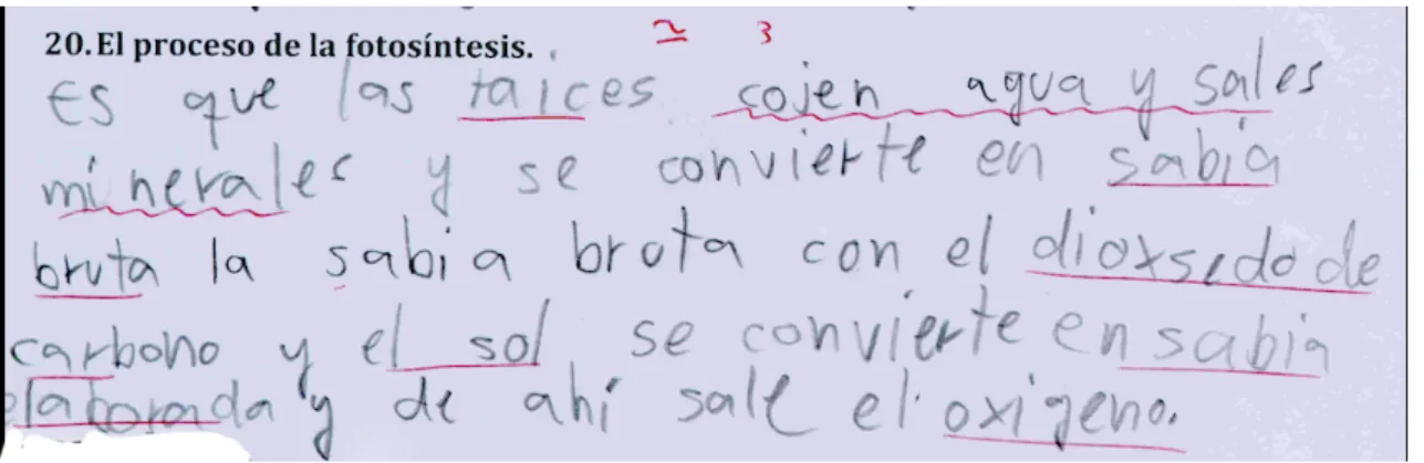 Figura 10. Explicación valorada como parcialmente incorrecta. 