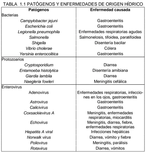 TABLA  1.1 PATÓGENOS Y ENFERMEDADES DE ORIGEN HÍDRICO  
